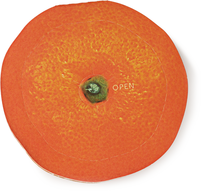 Faux Clementine Message Cards, Pack of 3 – Choosing Keeping
