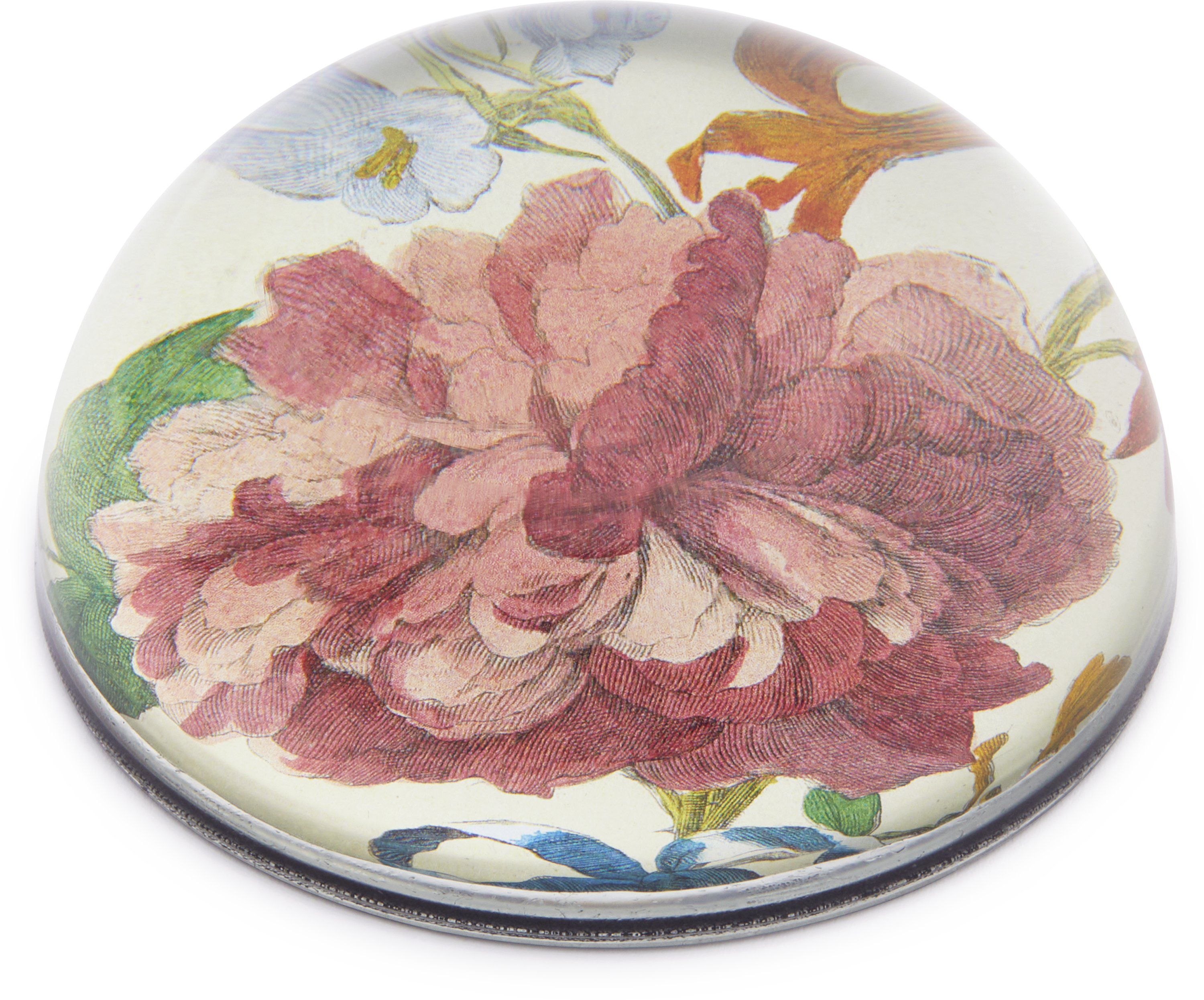 John Derian Rose with Insect ソーサー アスティエ John Derian Rose John Derian Rose with Insect ソーサー アスティエ John Derian Rose