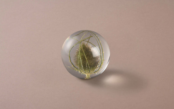 Teasel Paperweight
