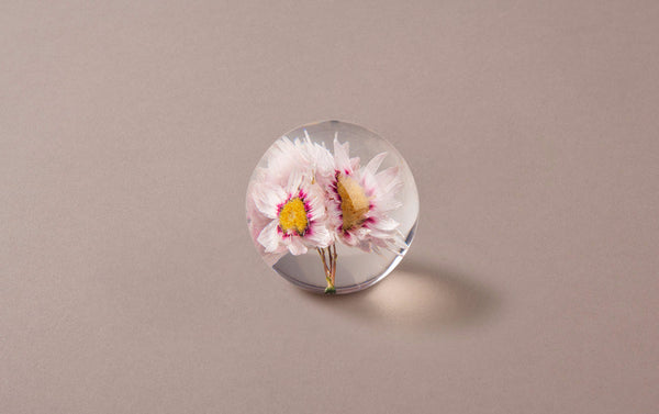 Pink Daisy Paperweight