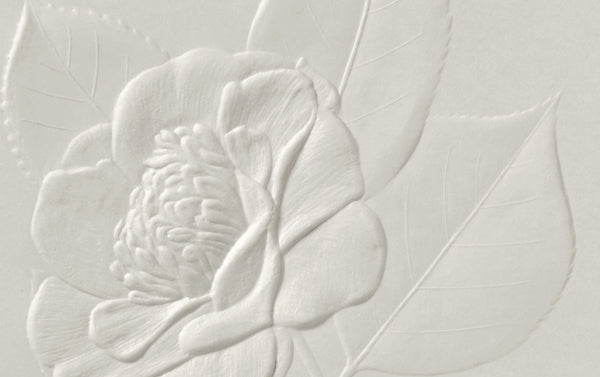 Blind Embossed Camellia No. 2 Greeting Card