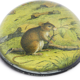John Derian Mouse Paperweight