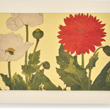 Matte Gold Foil Poppies Greeting Card