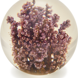 Purple Heather Paperweight