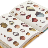 John Derian Sticker Book