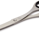 Stainless Steel Japanese Scissors