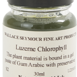 Natural Pigments Drawing Inks, Luzerne Chlorophyll 30ml