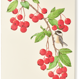 Engraved Birds and Berries Christmas Greeting Card