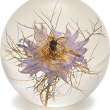 Blue Nigella Paperweight