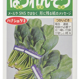 Faux Spinach Greeting Card