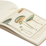 100 Writing & Crafting Papers of Mushrooms