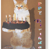 Happy Birthday Cat Greeting Card