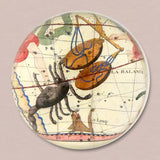 John Derian Libra & Scorpio Paperweight