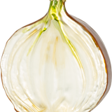 Brown Onion Christmas Ornament