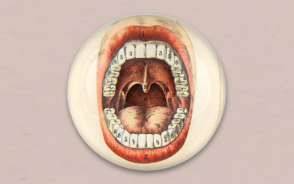 John Derian Mouth  Paperweight