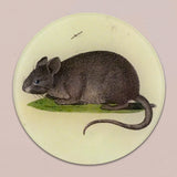 John Derian Blue-Eyed Mouse Paperweight