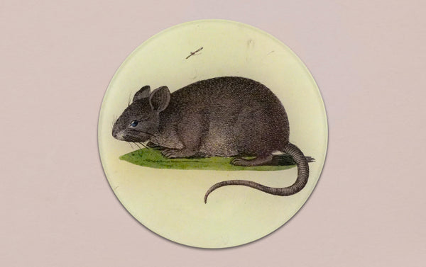 John Derian Blue-Eyed Mouse Paperweight