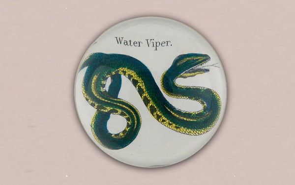 John Derian Water Viper Paperweight