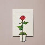 Roses Venetian Blind Greeting Card