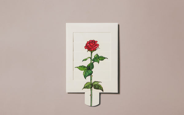 Roses Venetian Blind Greeting Card