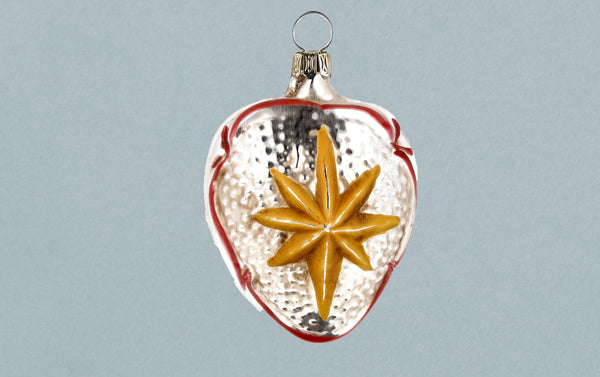 North Star and Snowdrop Flower Glass Ornament