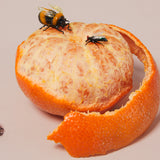 Handblown Glass Insects