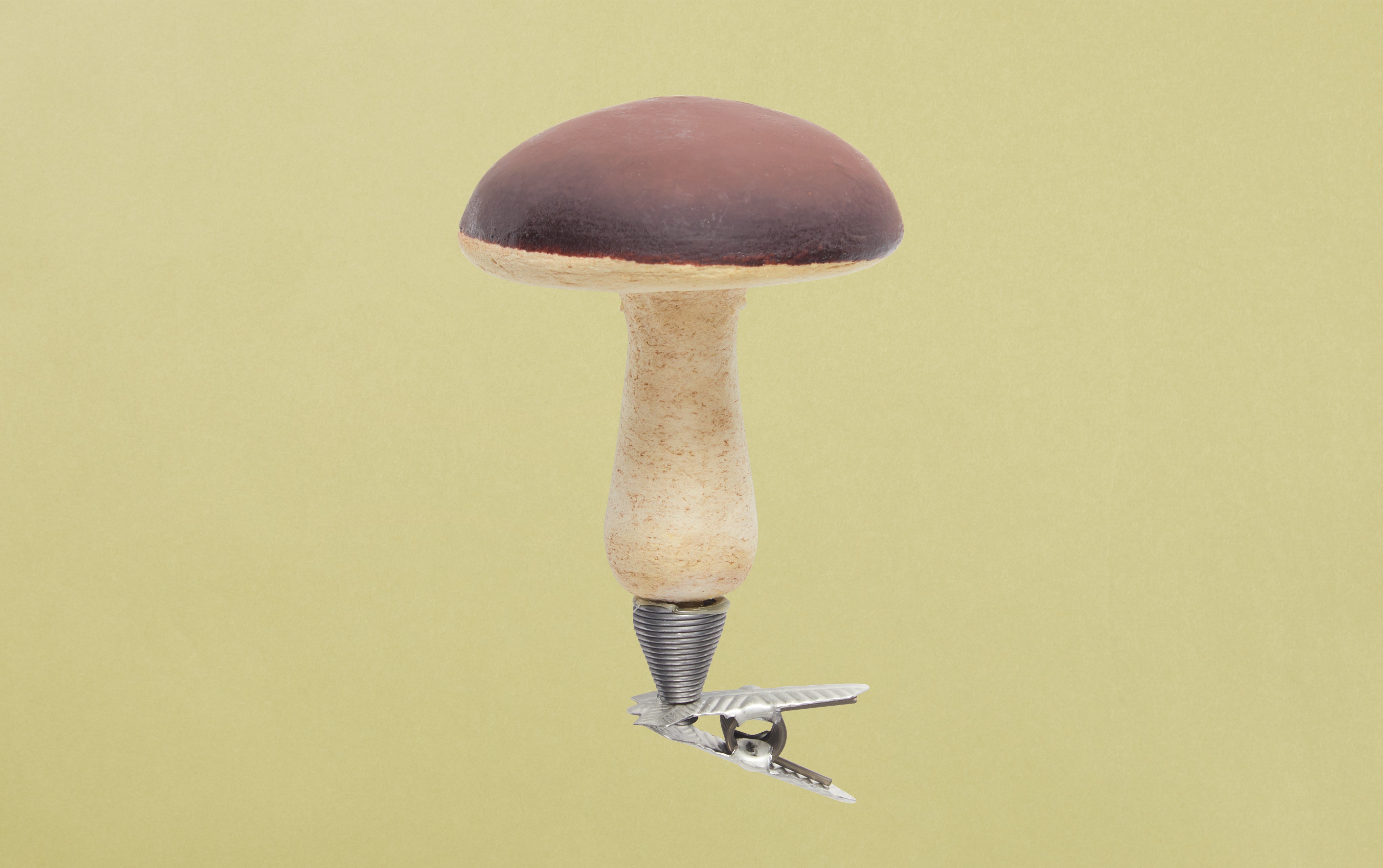 Papier-mâché Brown Mushroom on Clip