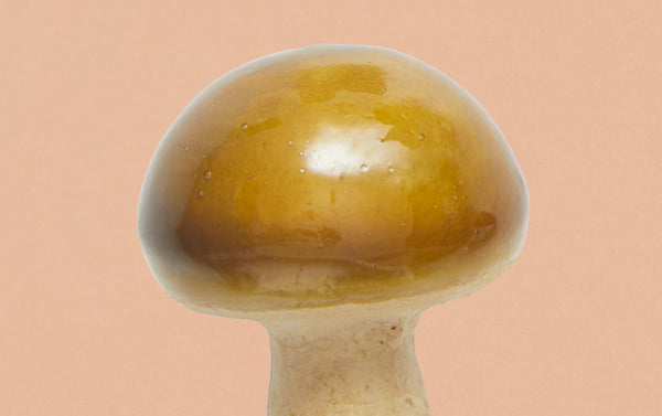 Papier-mâché Mini Green Mushroom on Clip