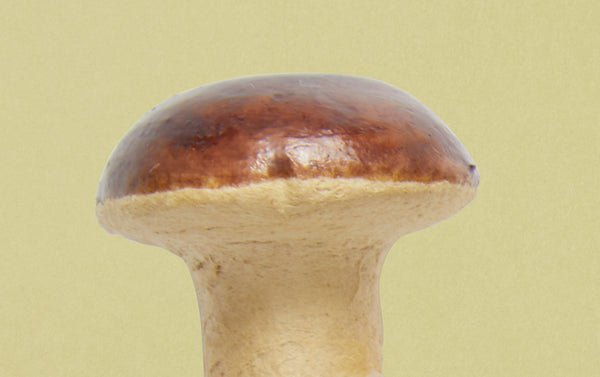 Papier-mâché Mini Brown Mushroom on Clip