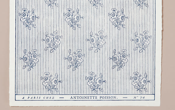 Antoinette Poisson Papier Dominoté No 74B, Boutonniere
