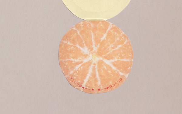 Faux Clementine Message Cards, Pack of 3