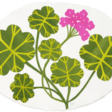 Denise Fiedler Floral Collage - Oval / Pink Geranium