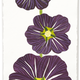 Denise Fiedler Floral Collage - Rectangle / Plum Hollyhock