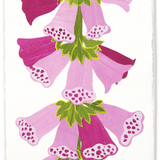 Denise Fiedler Floral Collage - Rectangle / Foxglove