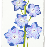 Denise Fiedler Floral Collage - Rectangle / Delphinium