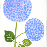 Denise Fiedler Floral Collage - 2 Blue Hydrangea on Stem