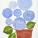 Denise Fiedler Floral Collage - 7 Lavender Blue Hydrangea in Pot