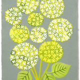 Denise Fiedler Floral Collage - 9 Chartreuse Hydrangea with Stems on Grey Paper