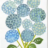 Denise Fiedler Floral Collage - 10 Blue & Green Hydrangeas with Stems
