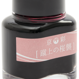 Kyo-Iro 05 Plum Fountain Pen Ink Bottle, 40ml