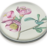 John Derian Cognassier du Japon Paperweight