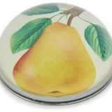 John Derian Flemish Beauty Pear Paperweight