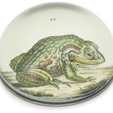 John Derian Frog No.16 Paperweight