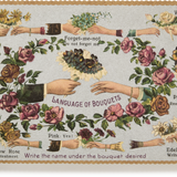 Choosing Keeping Embossed Nostalgic Postcard, Bouquets