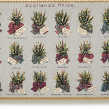 Embossed Nostalgic Postcards, Scotland's Pride
