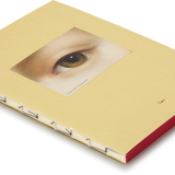 Medium Pictorial Journal - Desirée Galliot Eye