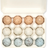 12 Chocolate Eggs in Carton, Swift