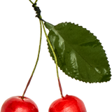 Red Cherries Paper Ornament