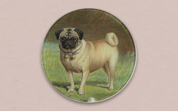 John Derian Pug Paperweight