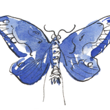 Lapis Lazuli Single Watercolour Pan